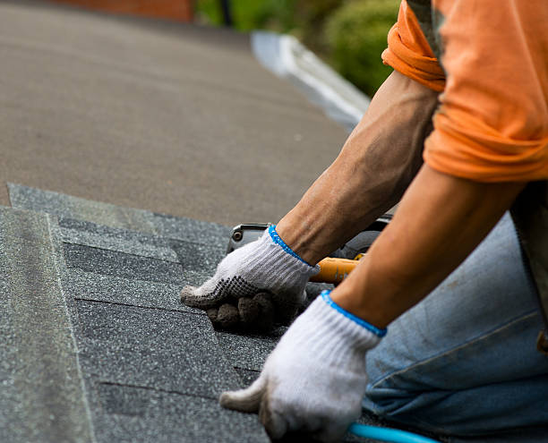 Best Roof Gutter Cleaning  in Rancho Viejo, TX